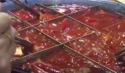 火锅视频,火锅视频中的美食盛宴